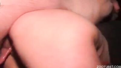 Dog sex: sonya animal porn