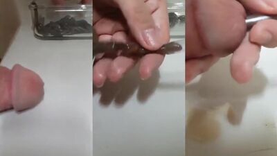 Dog sex porno: animal sex com