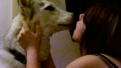 Zoo fucking porn: man x dog porn animation