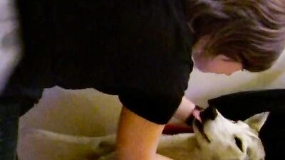 Dog sex: chinese zoo porn
