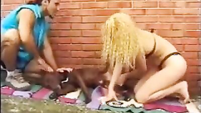 Art of zoo: dogging car sex