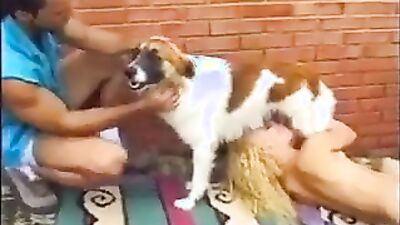 Art of zoo: dogging car sex
