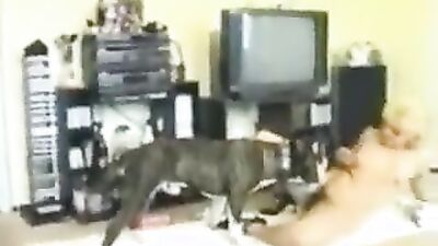Zoo sex: hentai zoophilia 3d porno