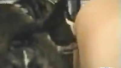 Zoo sex: hentai zoophilia 3d porno