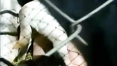 Girl cat dog: queensect zoo porn
