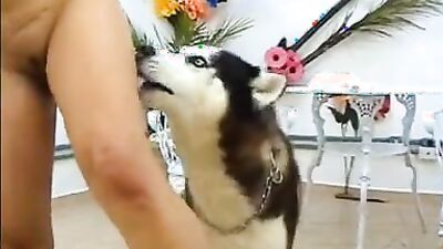 Zoo porn girls: new zoophilia