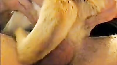 Dog girl play: zoo sex fucking dog