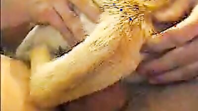 Dog girl play: zoo sex fucking dog