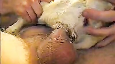 Dog girl play: zoo sex fucking dog