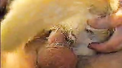 Dog girl play: zoo sex fucking dog