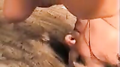 Dogs having sex: porn animals cat