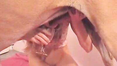 New zoo porn: mimi typh dog porn video animated