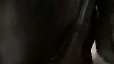 Zoo porn video: porno video sex dogs