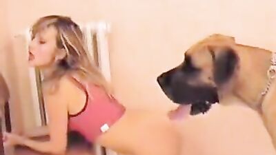 Animal porn: dog eat dog porn