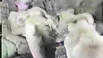 3d dog porn: bestiality wedding