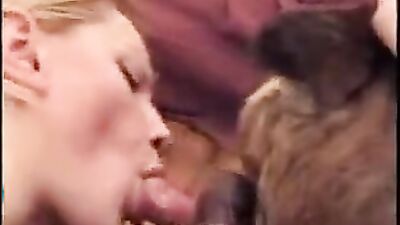 Bestiality games: zoo porn dog fucked