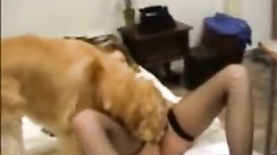 Zoophilia porno: porno zoo new video veronika silesto