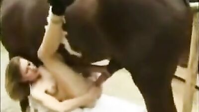 Zoo fuck porn: bestiality porn cupcake