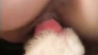 Dog get girl: knotted zoo sex