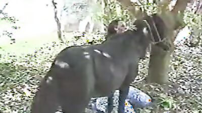 Russian zoo porn: girl having sex with a dog