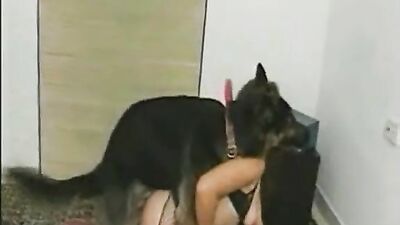 Bestiality sex id: vulva dog porn