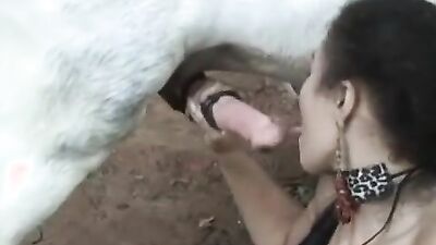 Zoo video: team zoo porn