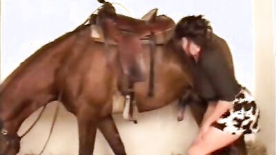 Bestiality: dog kiss porn