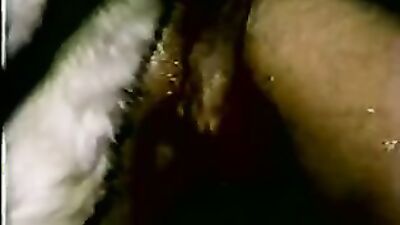 Bestiality dog: porn zoo girl sex
