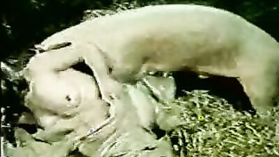 Bestiality dog: porn zoo girl sex