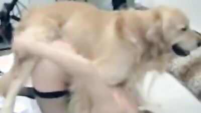 Bestiality horse: evil porn dog
