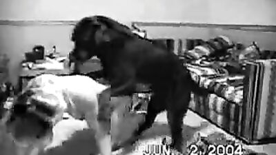 Bestiality xxx: dog and people sex