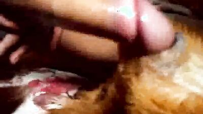 Teen zoo porn: hot girls having sex with a dog
