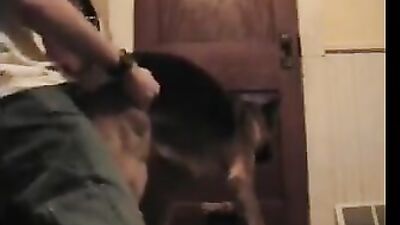 Bestiali comics: dog anal fucking porn