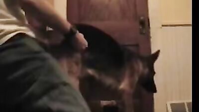 Bestiali comics: dog anal fucking porn