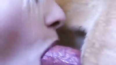 Bestiality porno: silesto hd zoo porn