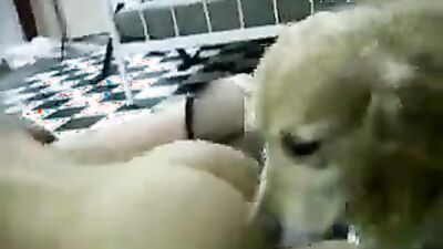 Teen dog sex: zoophilia porno video