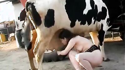 Dog fuck girl: porn stories dog transformation