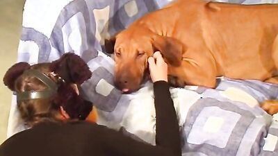Girls 5 dogs: animals rape sex
