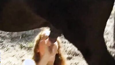2 dogs 1 girl: bestiality zoo porno