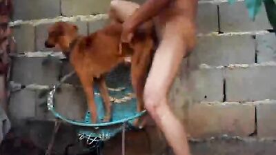 Sex animal's: free zoo porn