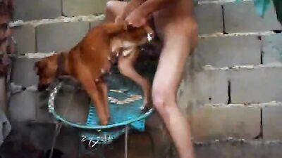 Sex animal's: free zoo porn