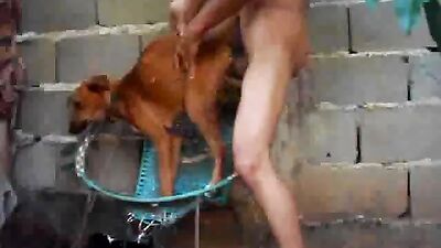 Sex animal's: free zoo porn