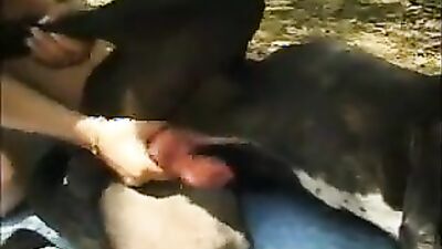 Fucking dogging porn: music video zoo porno