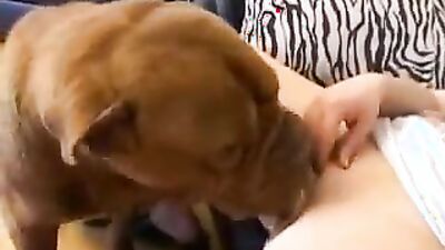 Girl cat dog: man fuck dog porn