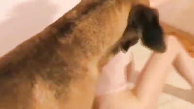 Zoo fuck porn: xxx animal porno