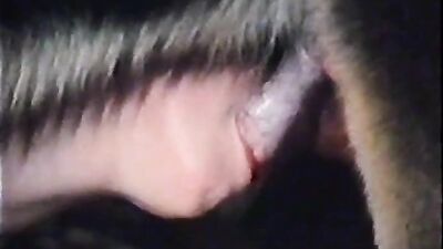 Zoo sex porno: big dogs sex girl