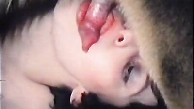 Zoo sex porno: big dogs sex girl