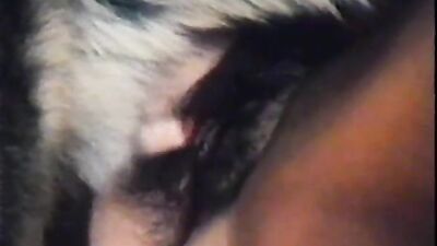 Zoo sex porno: big dogs sex girl
