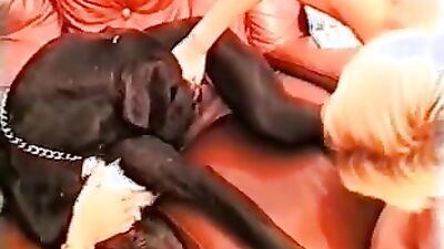 Mimi dog porn: zoo porn dog fucking