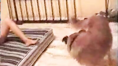 Zoophilia porno: sexy girl dogs